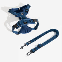 Navy+Harness