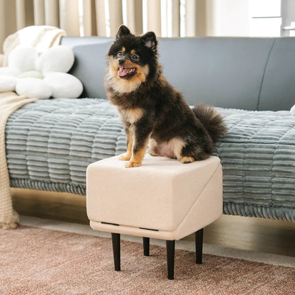 2-in-1 Convertible Wooden Home Step Stool Dog Ramp Stairs